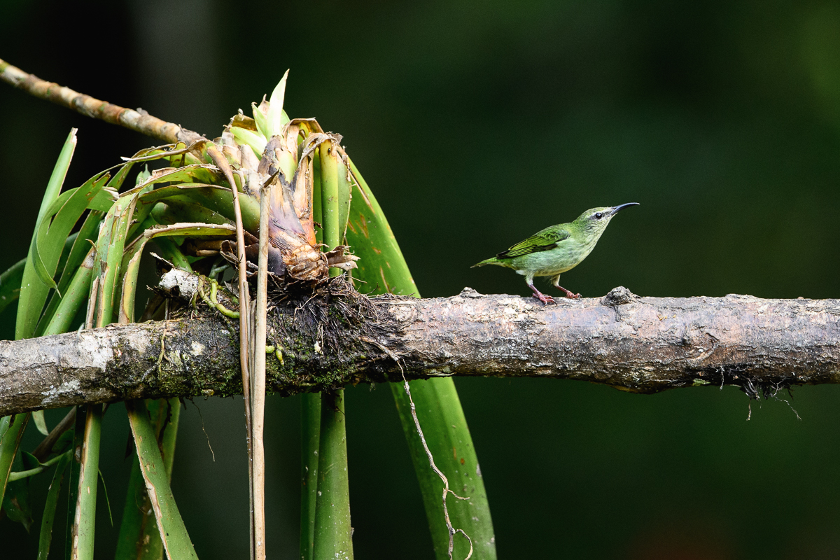 032 NJ PHOTOGRAPHER MITZVAH PORTRAITS